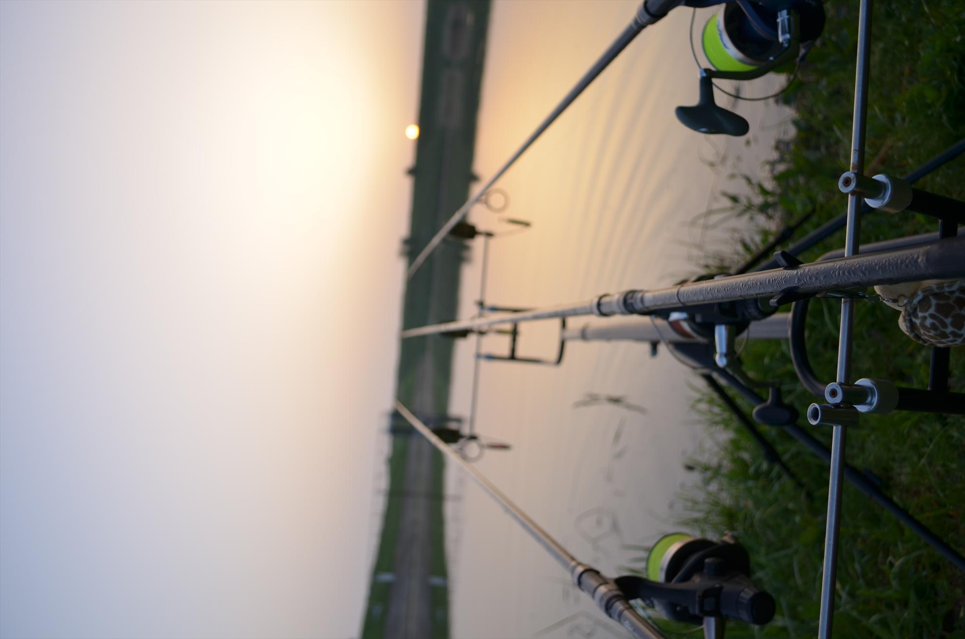 sisterea - dsc0524.JPG